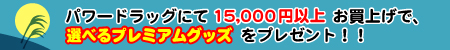 p[hbOɂčv10.500~ȏエグŁAhNiROO~jv[gII