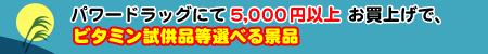 p[hbOɂčv5,250~グɁATvgiv[gII