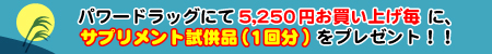 �p���[�h���b�O�ɂč��v5,250�~�������グ���ɁA�T�v�������g�����i���v���[���g�I�I