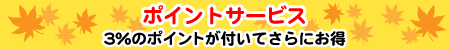 �|�C���g�T�[�r�X�@�R���̃|�C���g���t���Ă���ɂ���