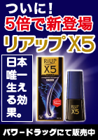 ���A�b�vX5���\���t��